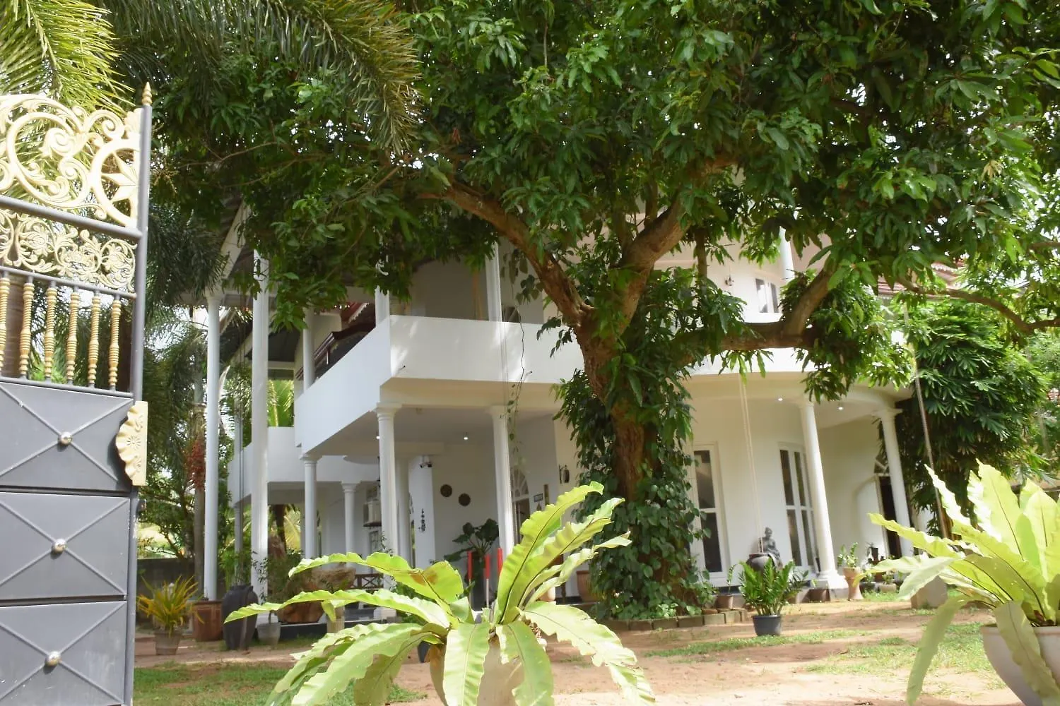 Goodlife Villa Negombo