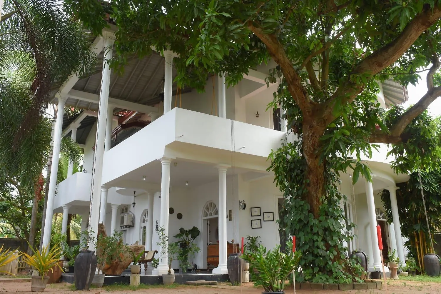 Bed & Breakfast Goodlife Villa Negombo